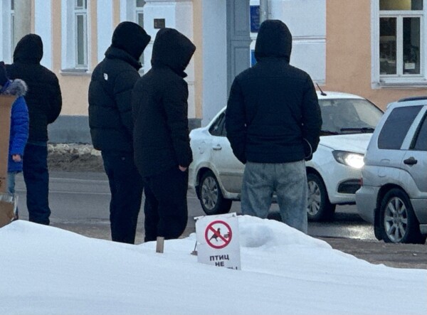 Антиголубиное место обнаружили в Костроме: там штрафуют на 5 тысяч