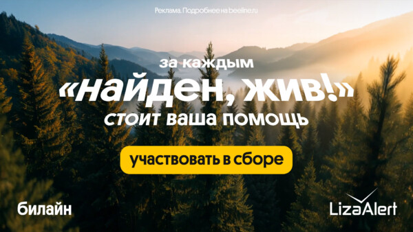 В 2025 году спасательный отряд «ЛизаАлерт» при поддержке Билайн нашел и спас 433 пропавших костромичей