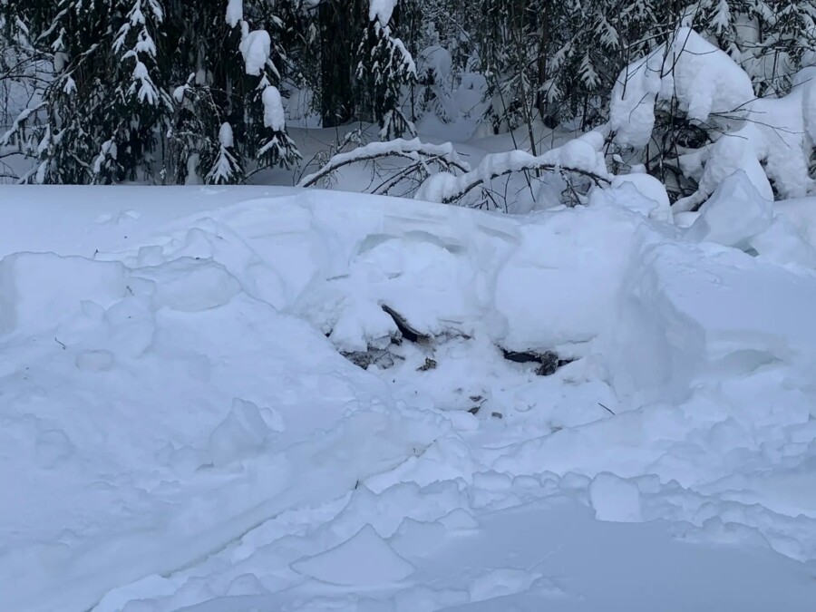 Прокурор нашел вонючий секрет в снегу под Костромой