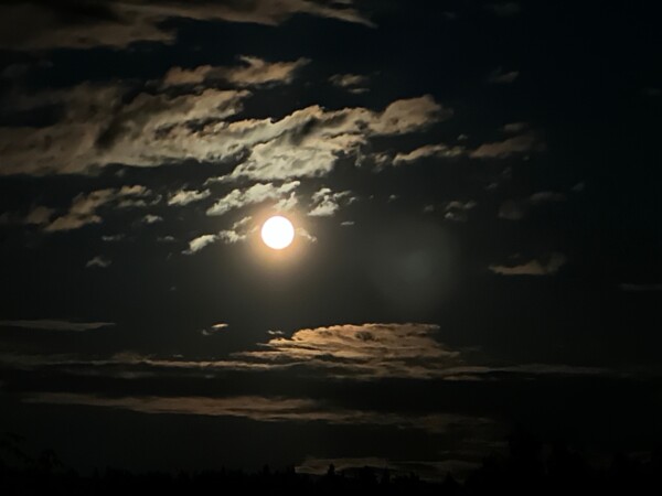 Депутат велел костромичкам не винить Меркурий в плохой связи