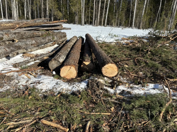 Костромич придумал схему заработать 40 тысяч и потерял 400 тысяч