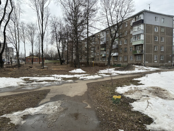 В Костроме появится «щит и меч» из скамеек и кустарников