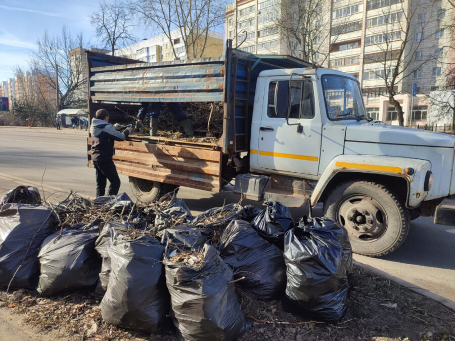 Стала известна дата городского субботника в Костроме