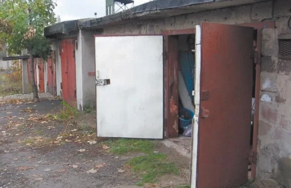 В гараже костромича завелись студенты и поменяли двигатель на дрова