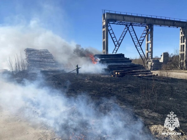 В костромской области открыли сезон горящей травы
