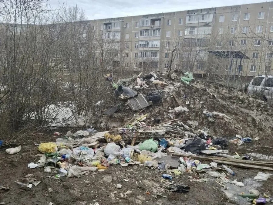 Соседство с помойкой долго не беспокоило костромских чиновников до одного момента