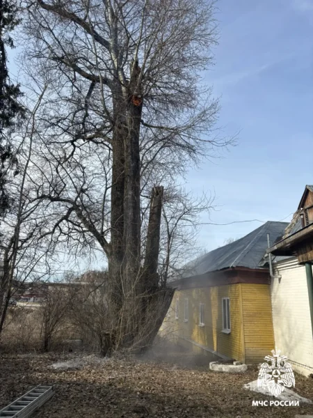 Экономия на трубочисте привела к крупному пожару в Костромской области