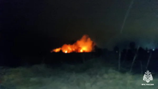 Стали известны подробности пожара около приюта для животных под Костромой