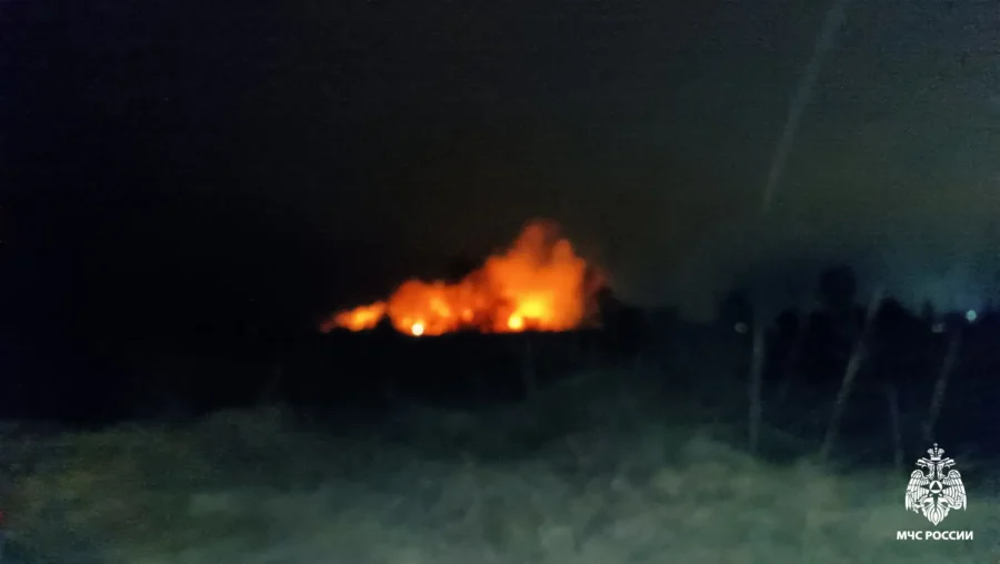 Стали известны подробности пожара около приюта для животных под Костромой