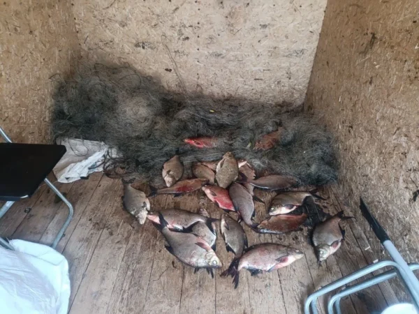 Два ивановца целенаправленно приплыли мешать интимной жизни костромских рыб