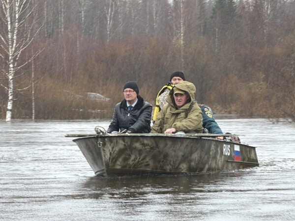 Костромской губернатор поинтересовался, живы ли жители подтопленной деревни