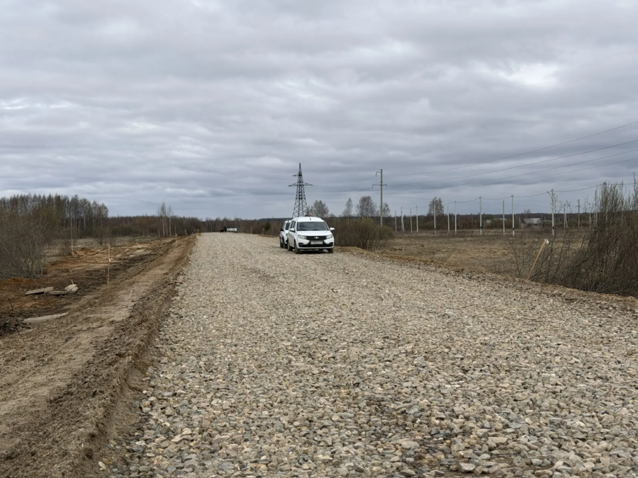 Поселок на болоте появится в Костроме