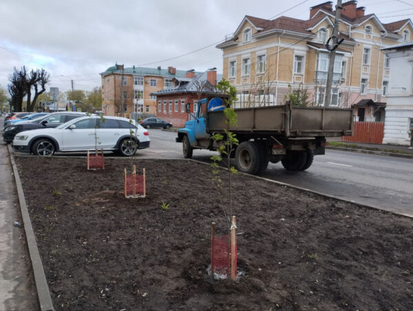«Красавицы» и «Эухлоры» заполонят улицы Костромы