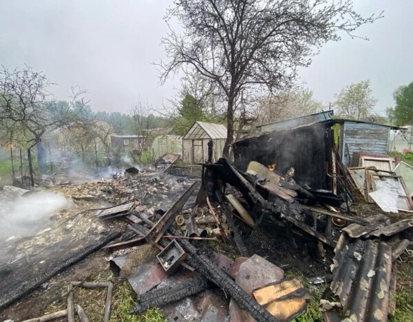Пожар в садовом товариществе под Костромой убил 250 цыплят
