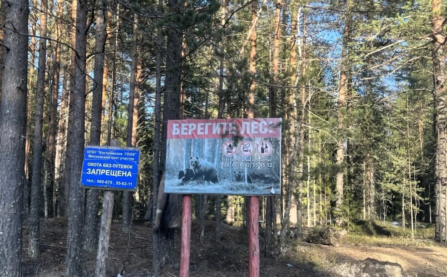 Чиновники не пускают костромичей в лес и на шашлыки