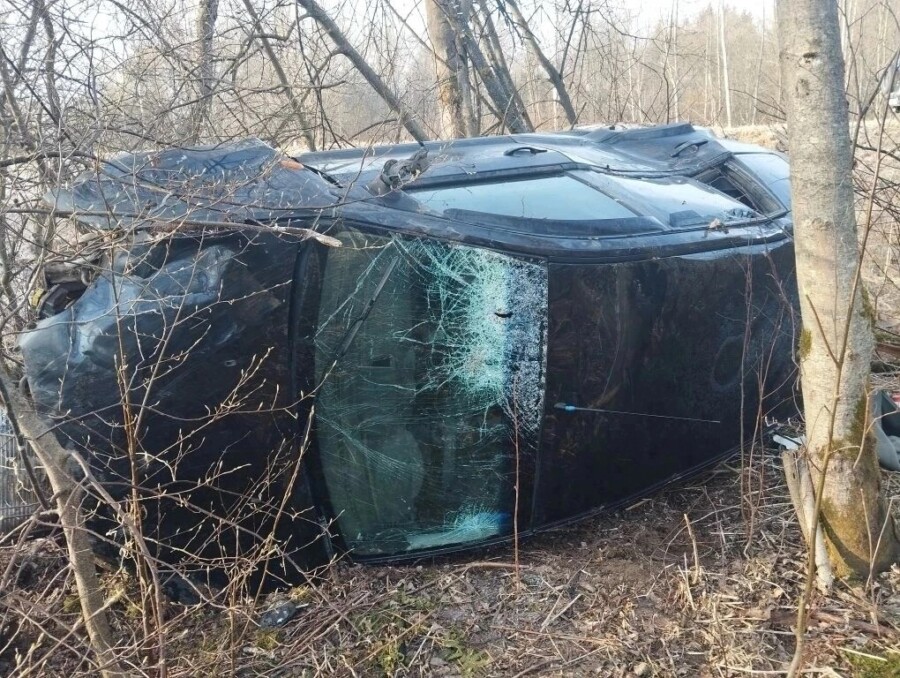 Костромич покувыркался с девушкой, а потом на папиной машине