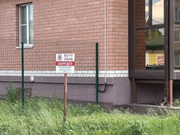 Костромичка заплатит штраф за прогулку с собакой