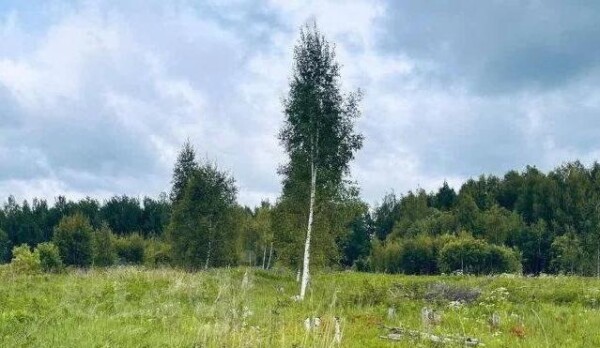 Обломки БПЛА обнаружили в Костромской области, второй больше не ищут