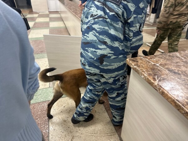 Военные, оцепление, мина: стало известно, что произошло на улице Скворцова в Костроме