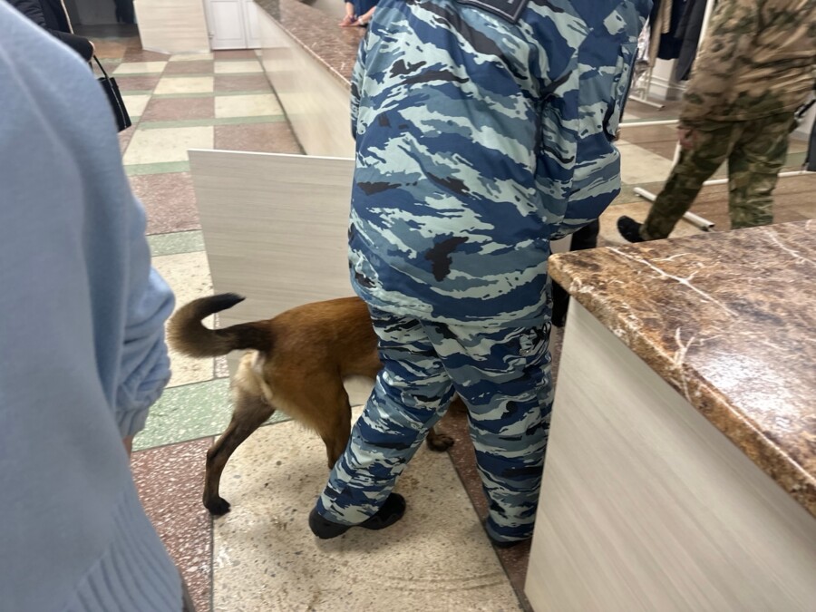 Военные, оцепление, мина: стало известно, что произошло на улице Скворцова в Костроме