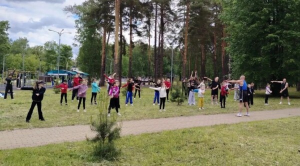 Костромичей ждут шахматы у самолёта, аниме и котики