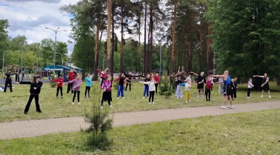 Костромичей ждут шахматы у самолёта, аниме и котики