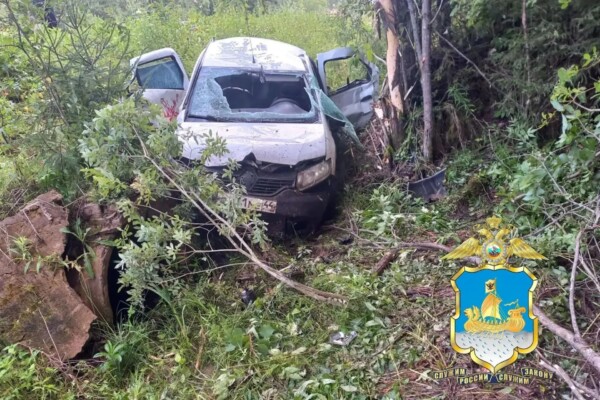 Пассажир погиб в смертельной аварии в Костромской области