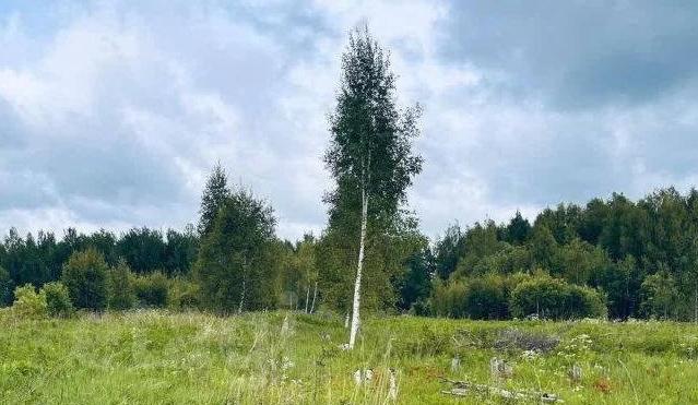 Два сбитых беспилотника за сутки нашли под Костромой