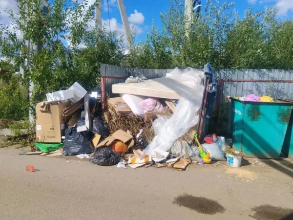 Мусор копится, штрафы растут: регоператора снова поймали на нарушениях