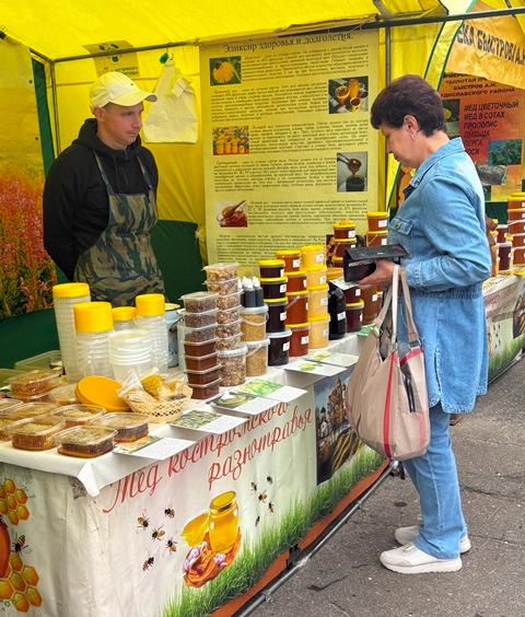 Костромичей и туристов бесплатно накормят медом не просто так