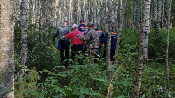 84-летнюю пенсионерку искали с сиреной и квадроциклами в лесу под Костромой