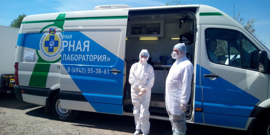 Костромским собачкам будут делать уколы в парках