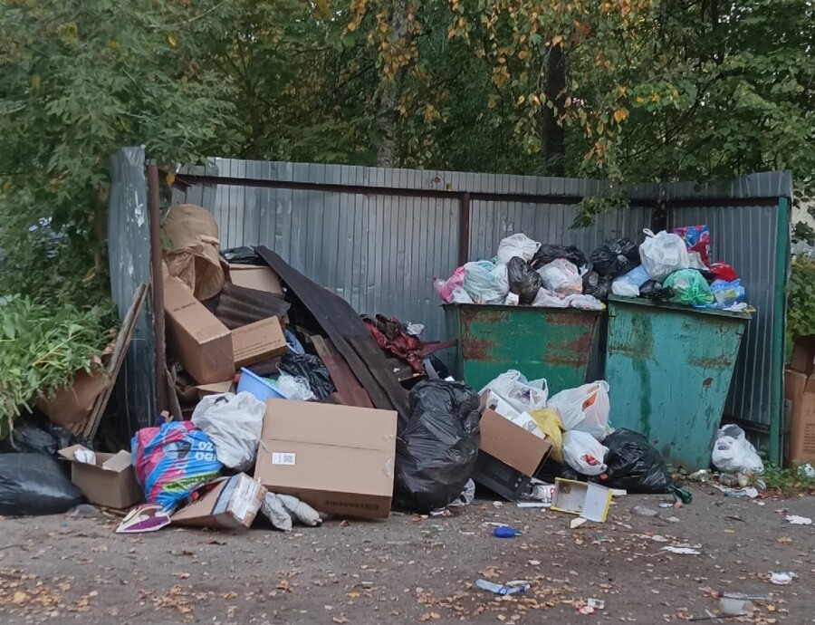 Мусор несут со всей округи к ресторану в центре Костромы