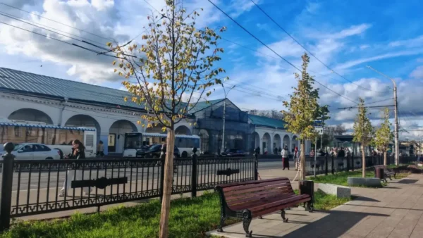 Смена караула в Ботниковском сквере: липы-ветераны уступают место молодым