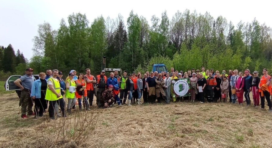 Железнодорожники поселили в Костромской области благородные деревья
