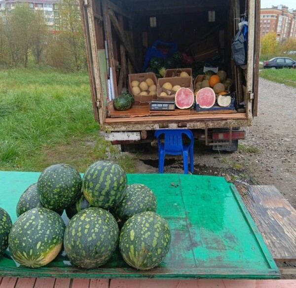 Уличных торговцев в Костроме выгоняют, выгоняют, а они сопротивляются