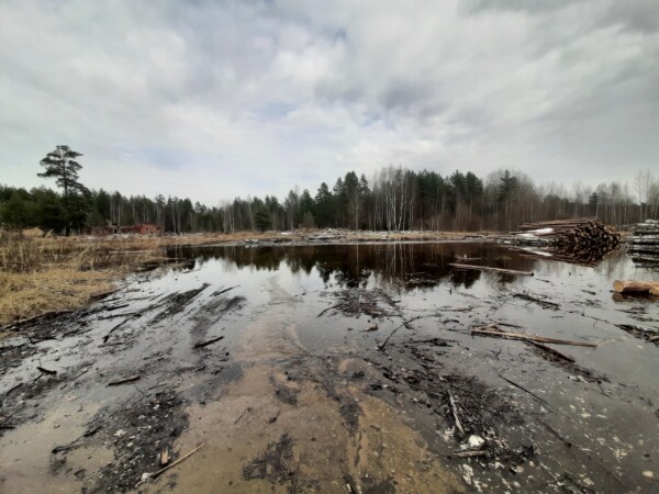 Планам строительства мусорного комплекса под Костромой нанесли ловкий удар