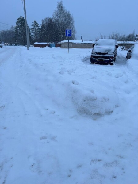 Костромичи начали сомневаться в своей адекватности после ответов чиновников про снег