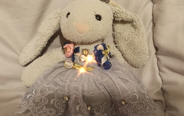 Костромская зайка оказалась в суде из-за 35 рублей