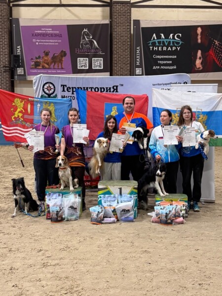 Костромичи обогнали всю Россию с собаками