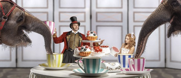 Костромичей приглашают на знаменитое шоу слонов от заслуженного артиста России