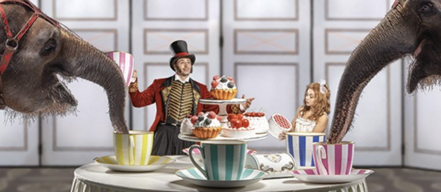 Костромичей приглашают на знаменитое шоу слонов от заслуженного артиста России