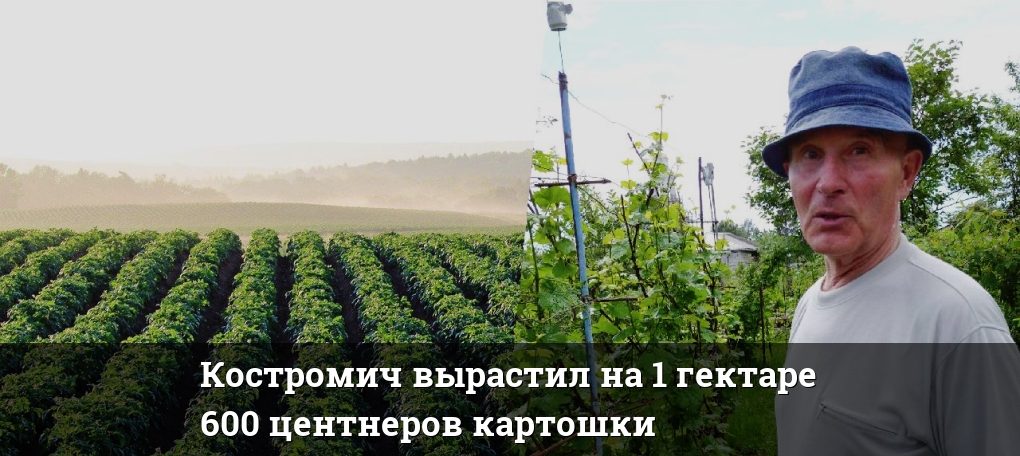 Руденко владимир евгеньевич ярославль. Руденко ярославль соцпитание суд. Руденко владимир евгеньевич ярославль. Соцпитание владимир руденко ярославль. Энотрия денис руденко.