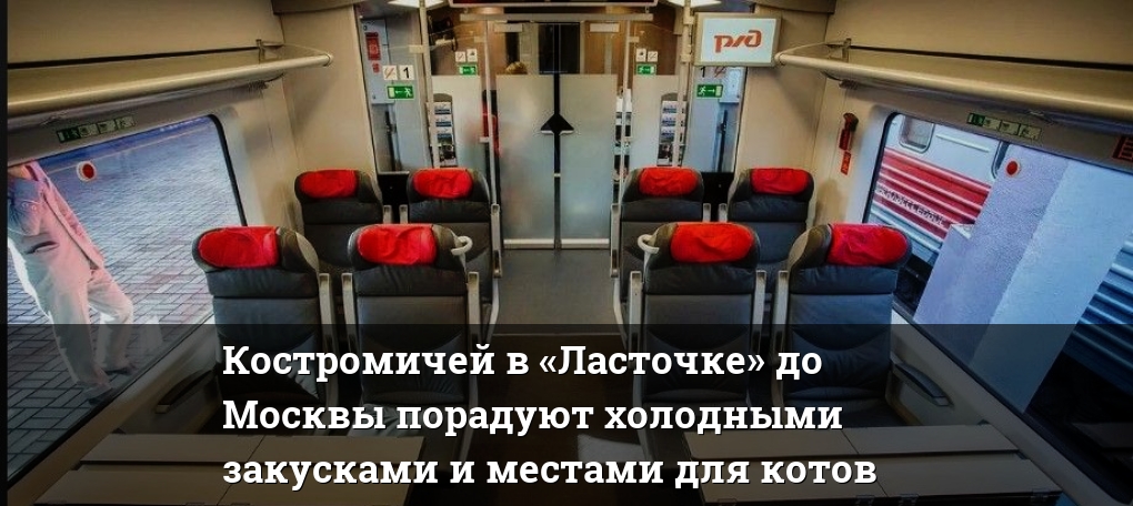 Поезд Ласточка Бизнес Класс Фото