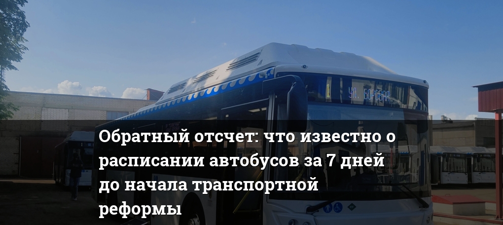Кострома июль 2025. Новые автобусы. новые автобусы в костроме. новые автобусы кострома 2025.